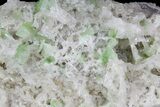 Green Augelite Crystals on Quartz - Peru #173389-1